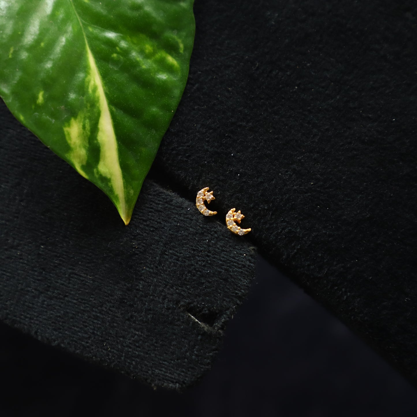 PIKE EARRING