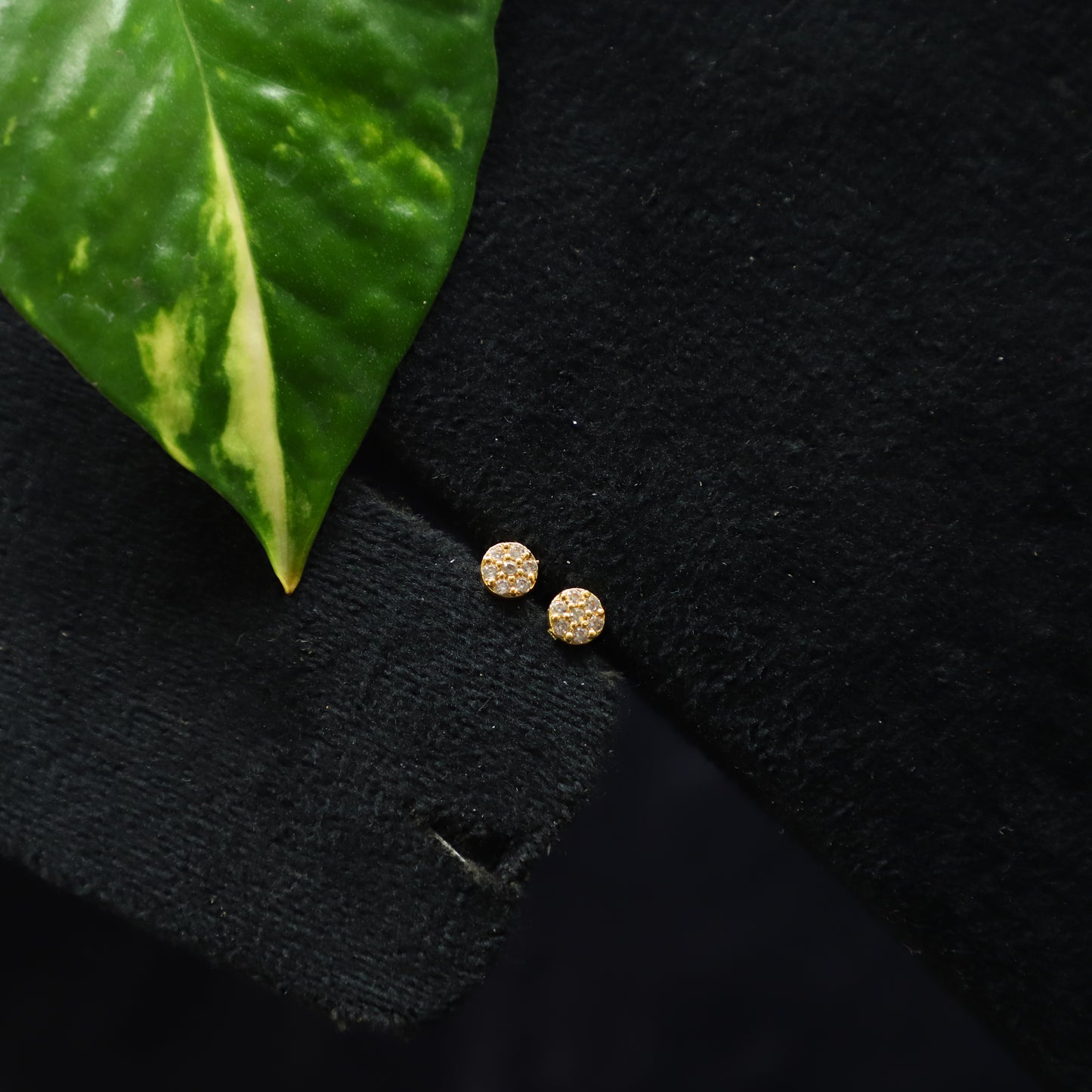 SNAPPER EARRING