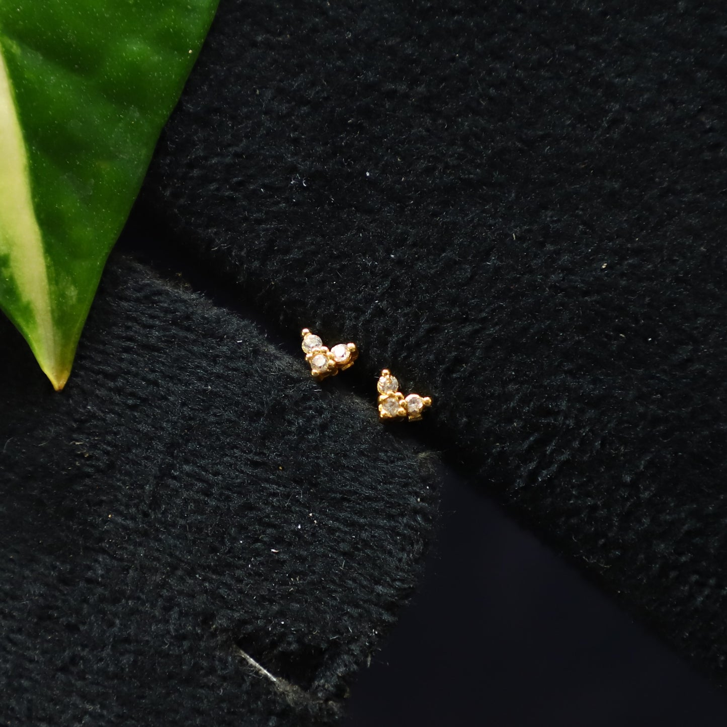 SARDINE EARRING