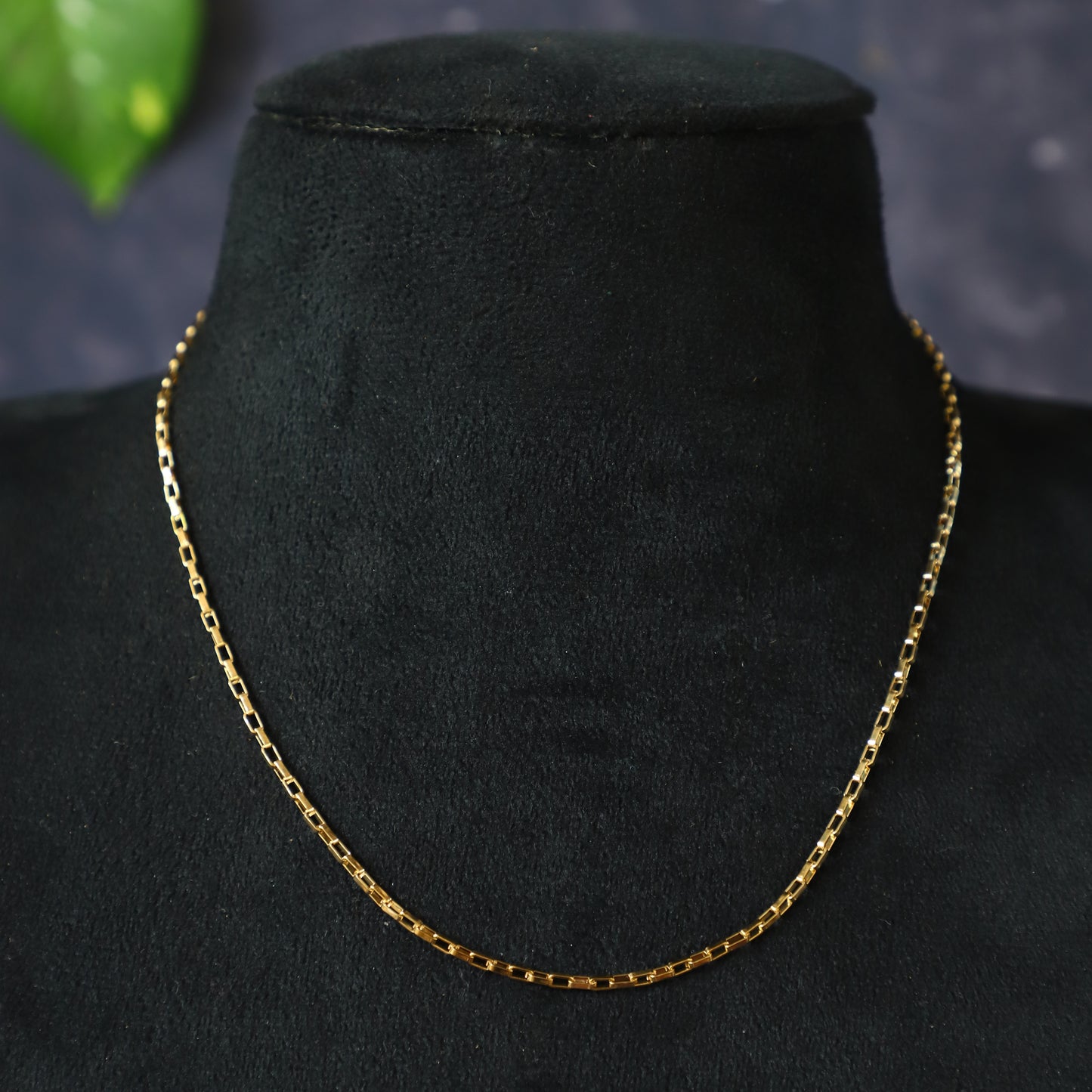 NIGEELA CHAIN