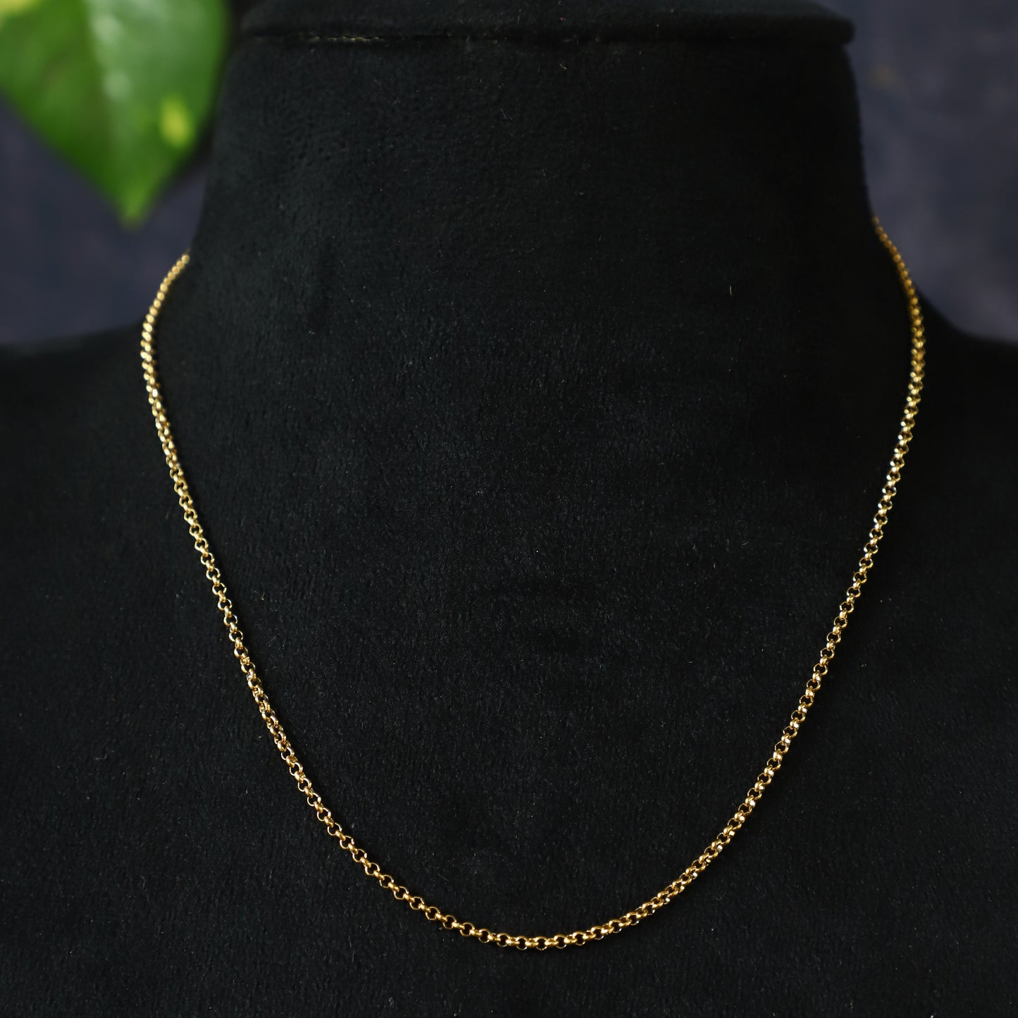 PARSLEY CHAIN