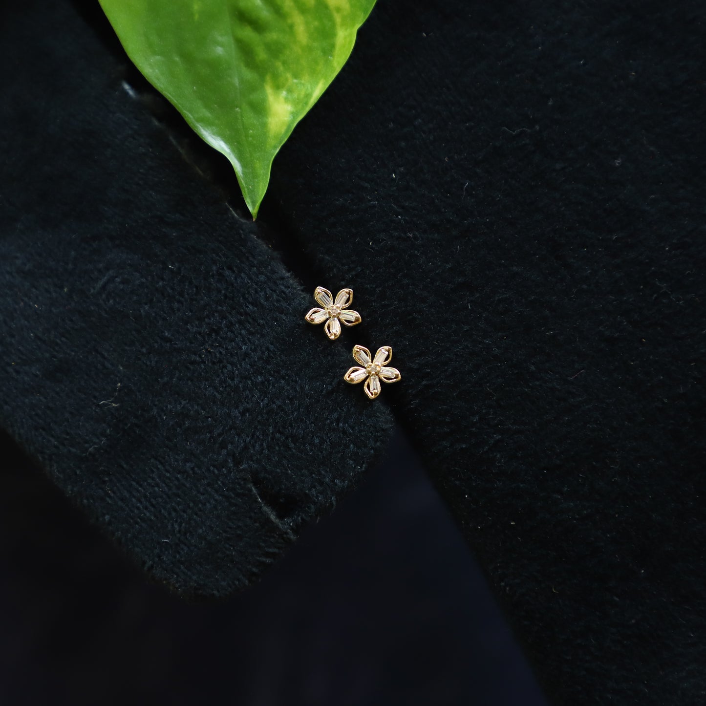 LORIKEET EARRING