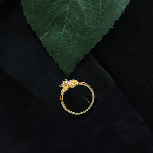 ANSH RING