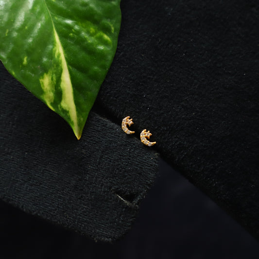 PIKE EARRING