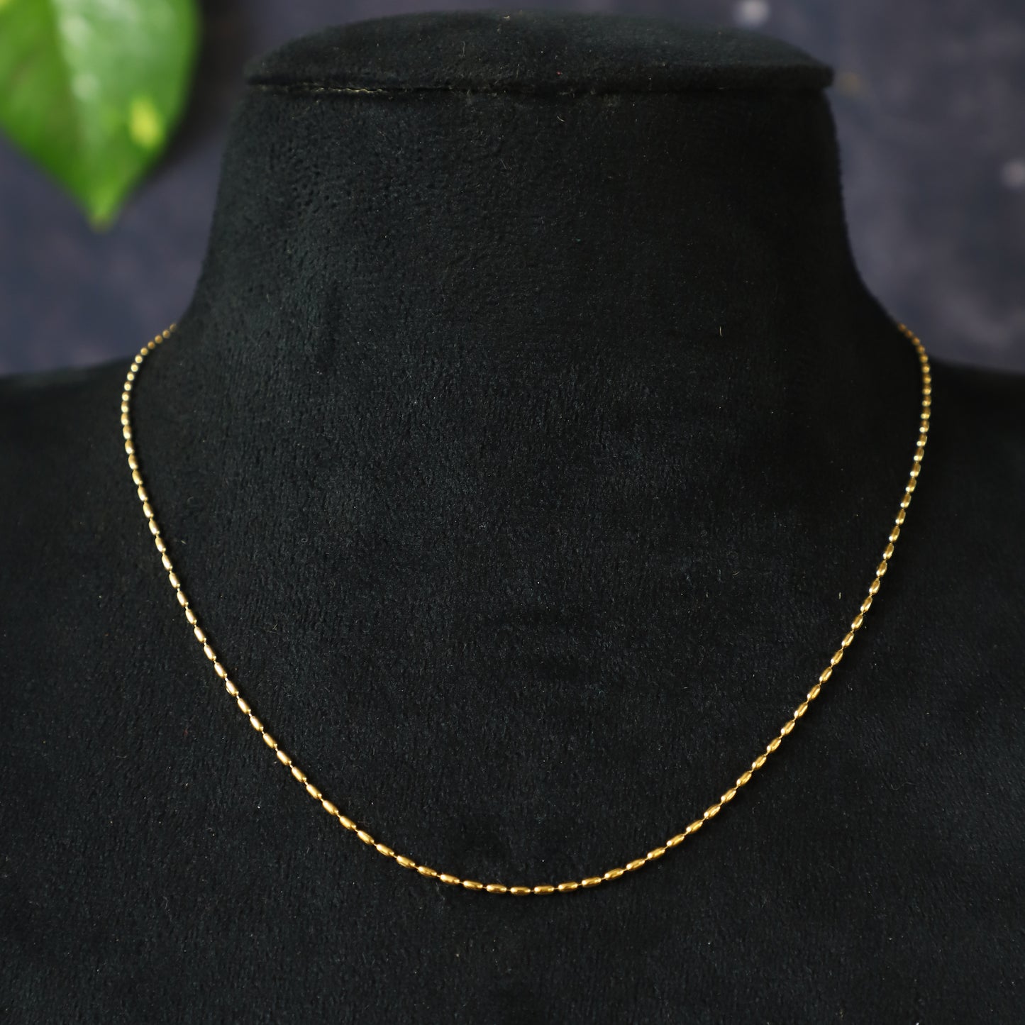 RACCOON CHAIN