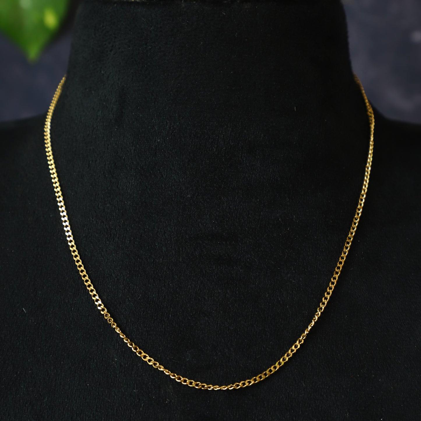 ANISE CHAIN