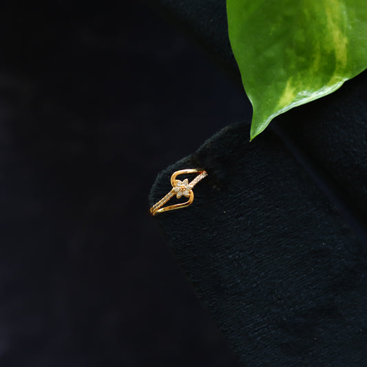 PANI RING