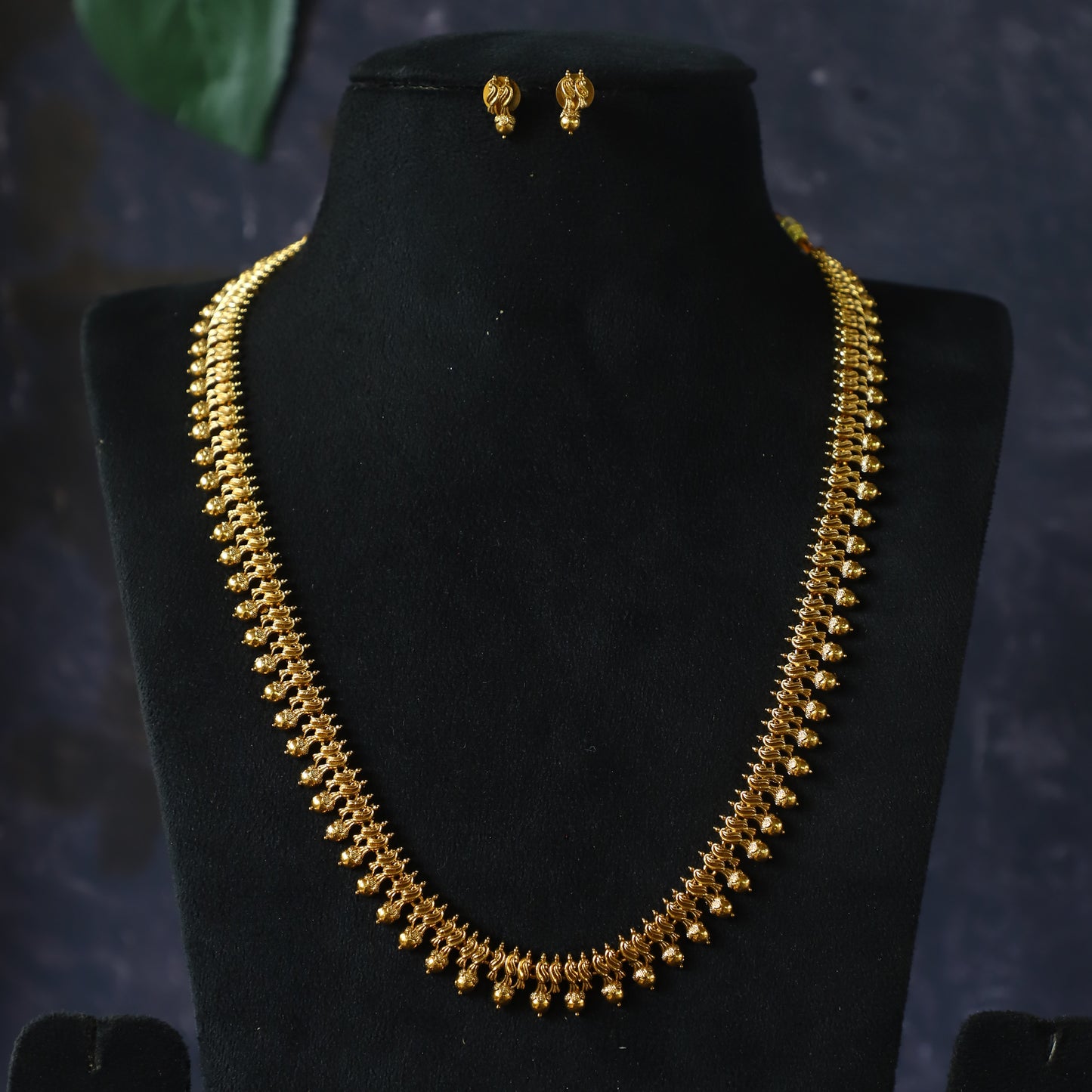 PETAL LONGHARAM