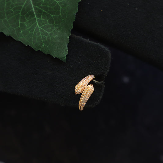 DANIET RING