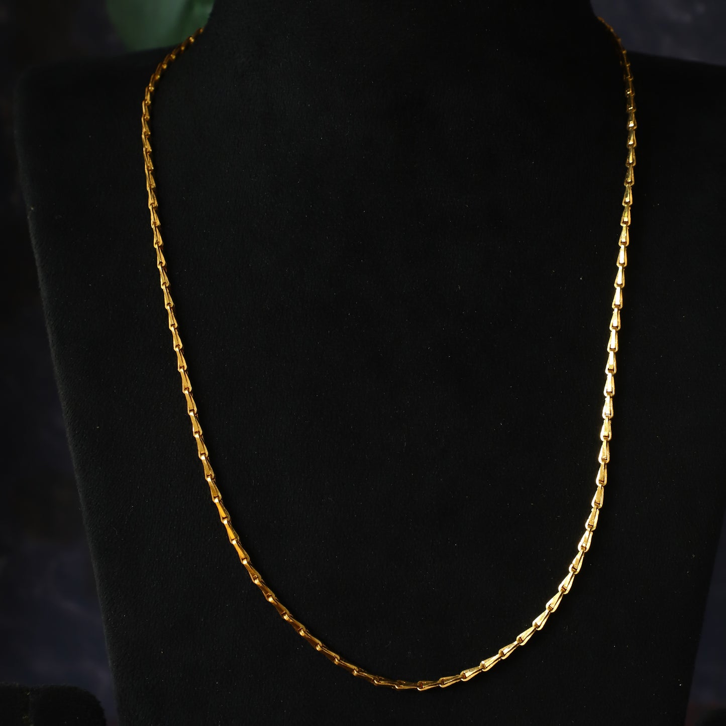 ARYA CHAIN