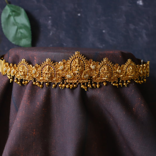 ADITI HIPBELT