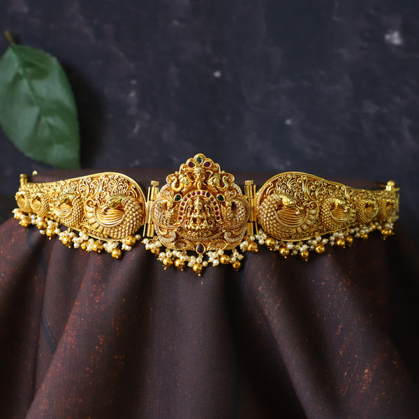 MRINMAYI HIPBELT