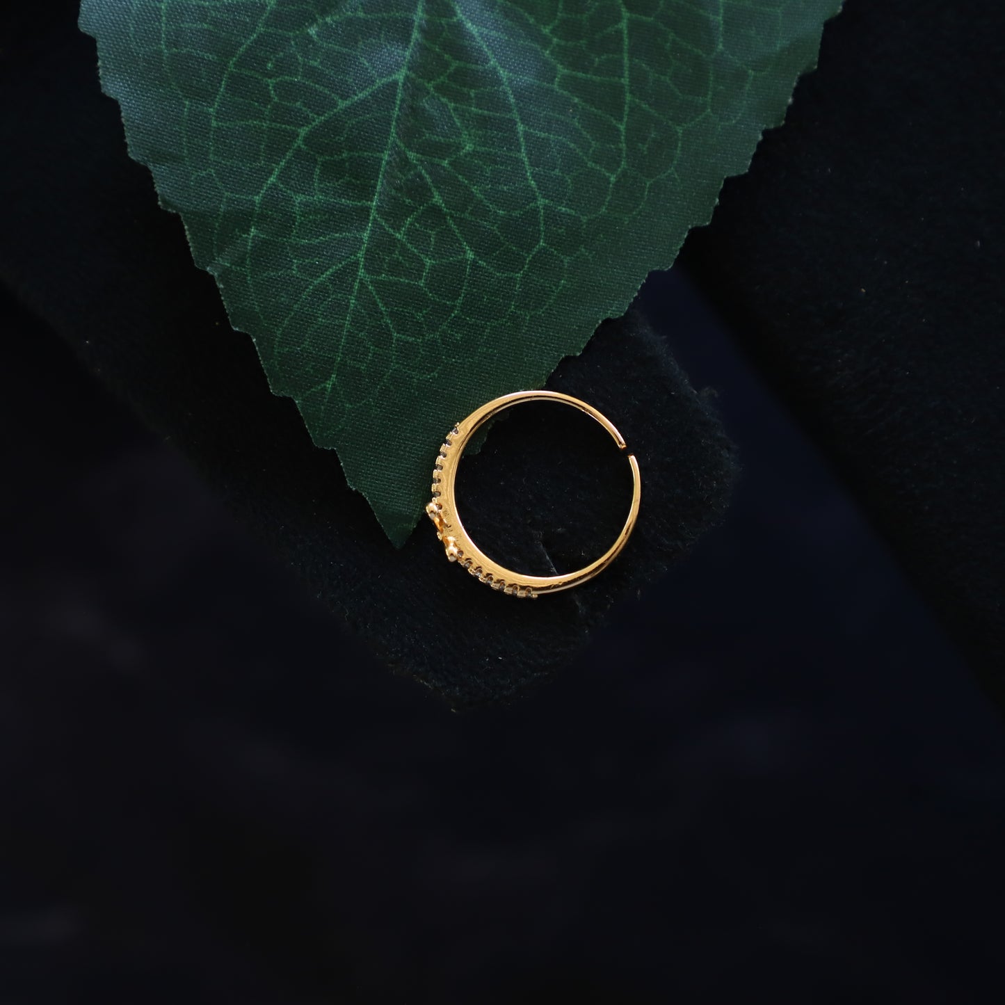 JOHN RING