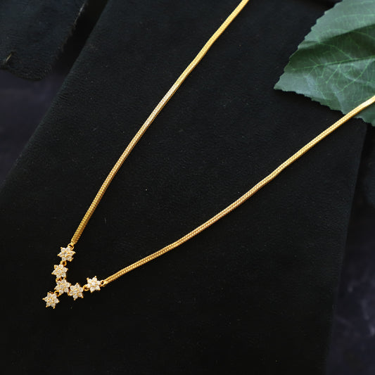 ARLO CHAIN