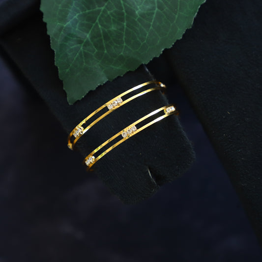 ANIK BANGLE