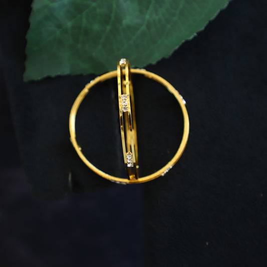 ANIK BANGLE