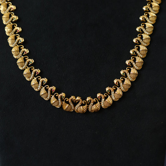 ANVI LONGHARAM