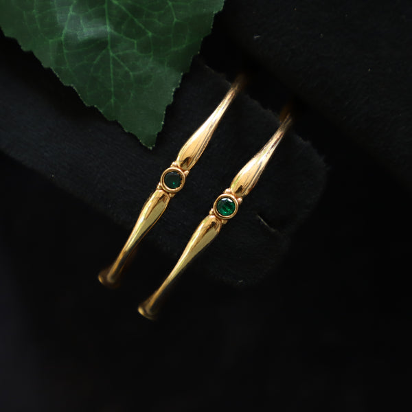 ANANDI BANGLE