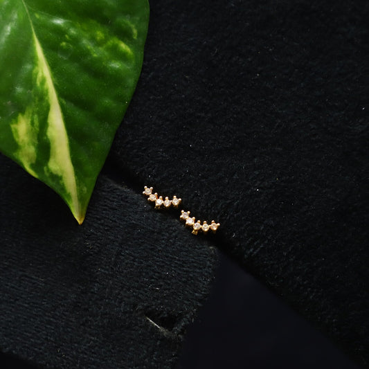 TROUT EARRING