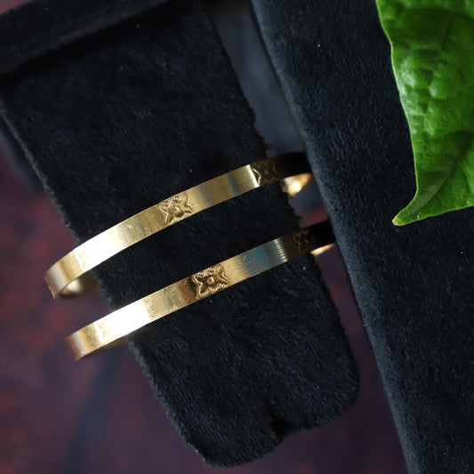 HOMELY BANGLES