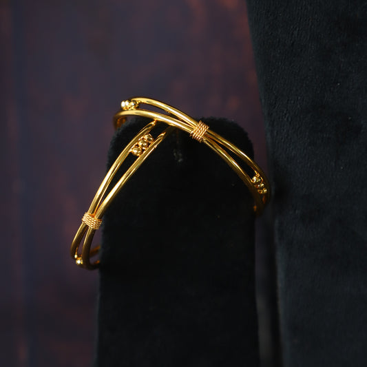 ANIK BANGLE