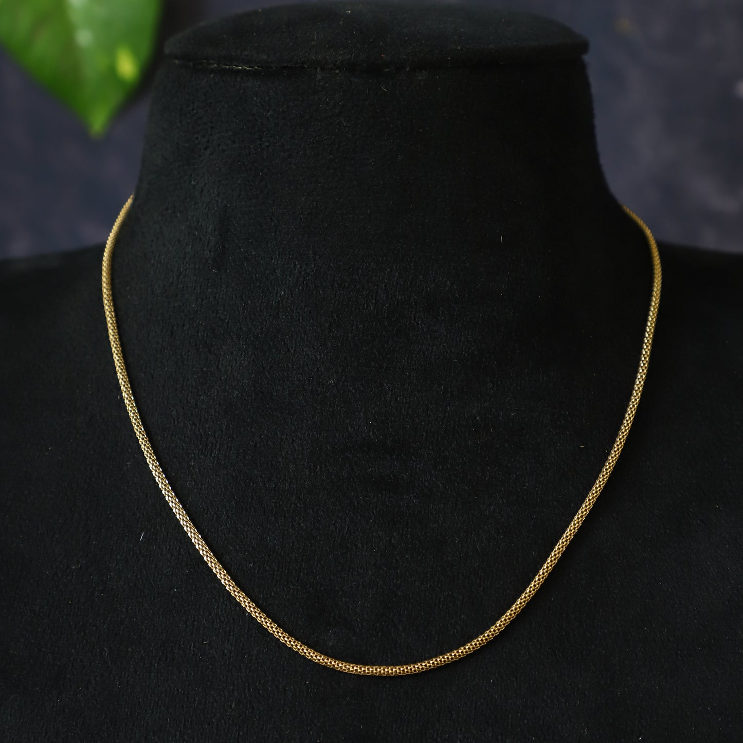 AJWAIN CHAIN